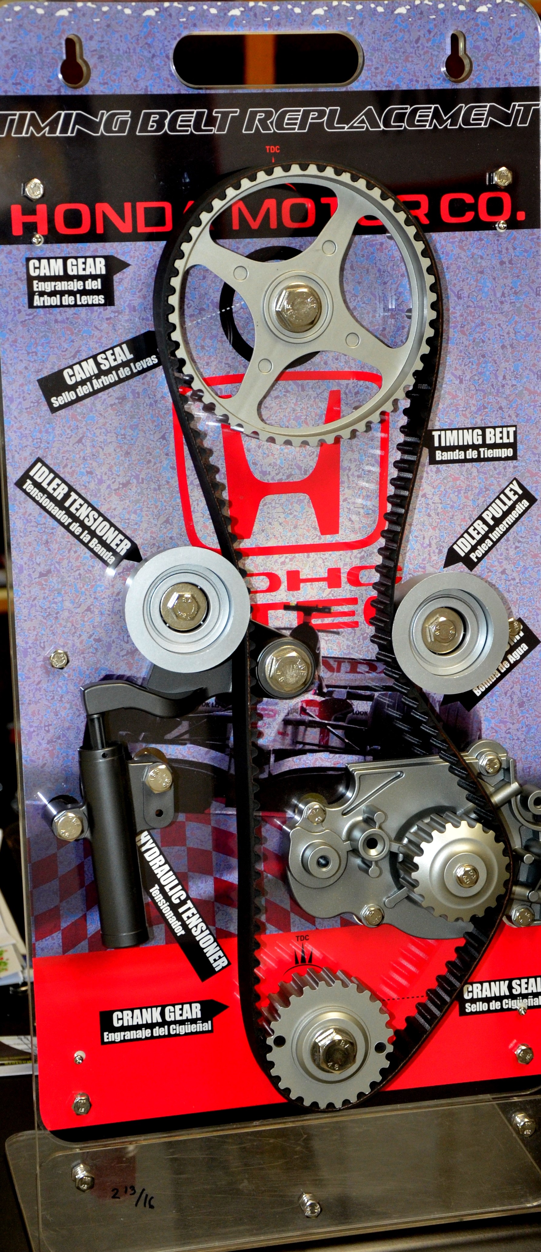 Timing Belt Displays in Motion